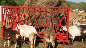 Model 400 Model 400 Bale Feeder